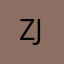 zjgw991