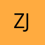 zjwjjzhzii