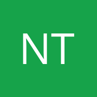 Nur Turlar