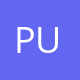 Pulsz