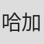 哈加·怀尔德