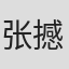 张撼依