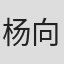杨向华