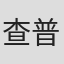 查普·泰勒
