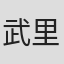 武里光子