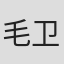 毛卫宁