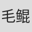 毛鲲宇