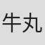 牛丸亮