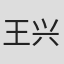 王兴东