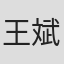 王斌光年