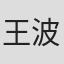 王波文