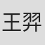王羿乔