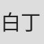 白丁