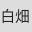 白畑真逸