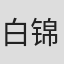 白锦程