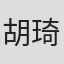 胡琦