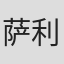 萨利·艾尔·胡赛因