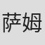 萨姆·斯坦纳