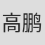 高鹏飞