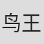 鸟王