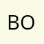 Bourriquet
