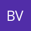 Branislav V
