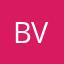 Bruno V